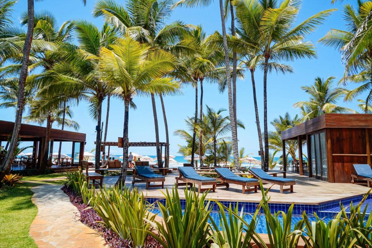 Dreamland Bungalows - Taipu De Fora - Barra Grande Екстер'єр фото