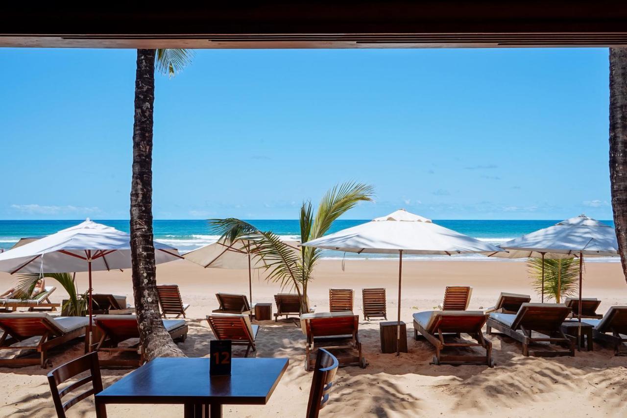 Dreamland Bungalows - Taipu De Fora - Barra Grande Екстер'єр фото