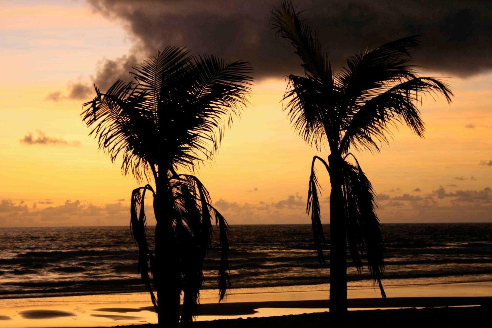 Dreamland Bungalows - Taipu De Fora - Barra Grande Екстер'єр фото